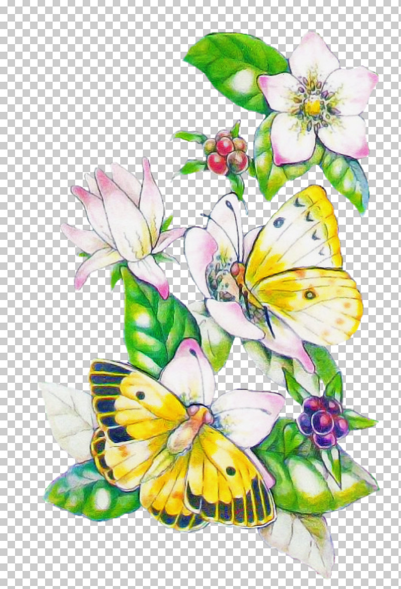 Butterfly Cynthia (subgenus) Moths And Butterflies Insect Pollinator PNG, Clipart, Brushfooted Butterfly, Butterfly, Cut Flowers, Cynthia Subgenus, Flower Free PNG Download
