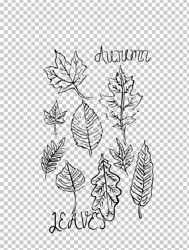 Floral Design /m/02csf Drawing Leaf PNG, Clipart, Artwork, Black And White, Branch, Drawing, Flora Free PNG Download