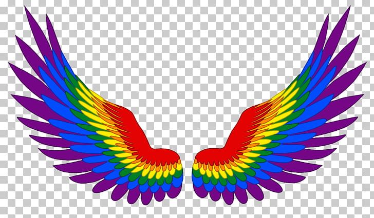 Gay Pride Gray Asexuality PNG, Clipart, Beak, Bisexuality, Clip Art, Feather, Gay Pride Free PNG Download