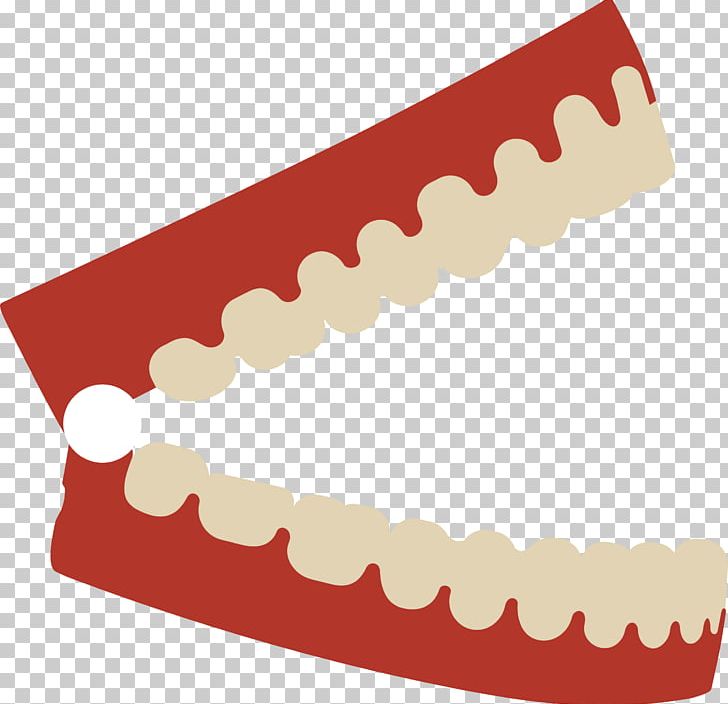Human Tooth Dentist PNG, Clipart, Dental Braces, Dentist, Dentistry, Dentures, Download Free PNG Download