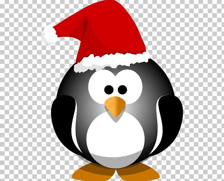 Little Penguin Bird Computer Icons PNG, Clipart, Beak, Bird, Blue, Christmas Ornament, Color Free PNG Download