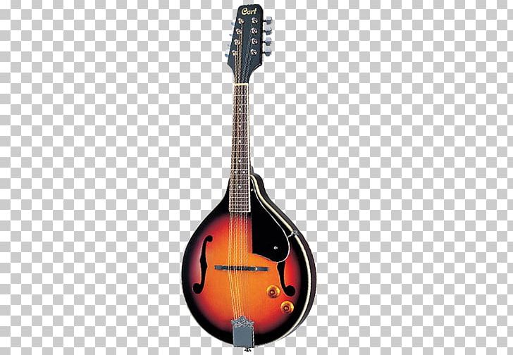 Mandolin Musical Instruments Eight-string Guitar String Instruments PNG, Clipart, Acoustic Electric Guitar, Acoustic Guitar, Bridge, Double Bass, Lute Free PNG Download