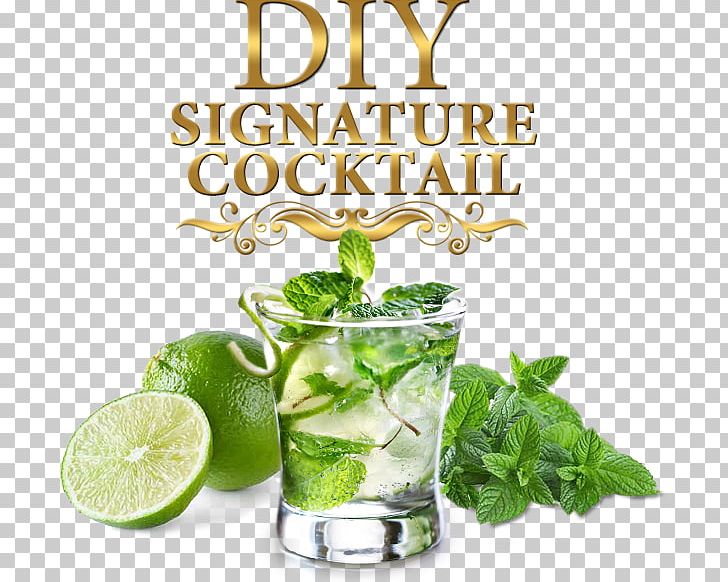 Mojito Cocktail Daiquiri Rum Highball PNG, Clipart, Caipirinha, Caipiroska, Carbonated Water, Cocktail Garnish, Drink Free PNG Download