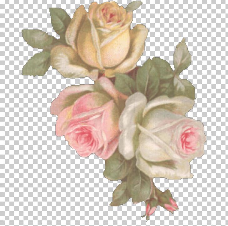 Photobucket Animation PNG, Clipart, Animation, Artificial Flower, Avatar, Cut Flowers, Floral Design Free PNG Download