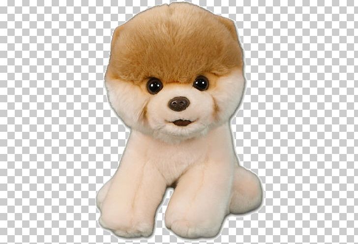 Pomeranian Boo Stuffed Toy PNG, Clipart, Animals, Boo, Carnivoran, Companion Dog, Computer Icons Free PNG Download