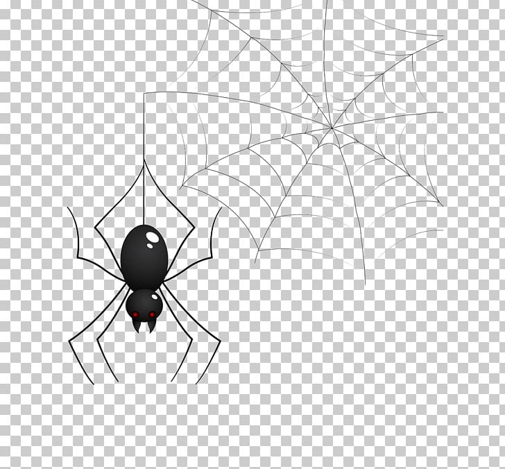 Spider Photography PNG, Clipart, Angle, Arachnid, Black, Black And White, Cartoon Free PNG Download