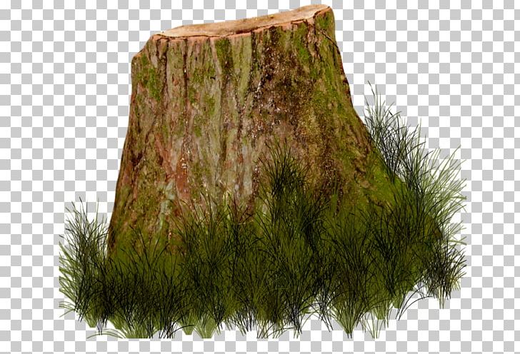 Tree Stump Photography Trunk PNG, Clipart, Art Center, Clip Art, Digital Image, Easter, Fur Free PNG Download