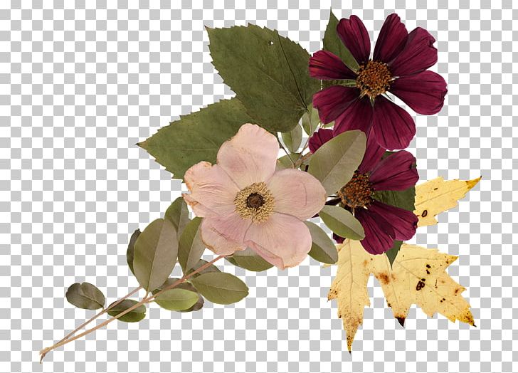 Floral Design Flower PNG, Clipart, Blossom, Branch, Chart, Cicek, Cicek Resimleri Free PNG Download