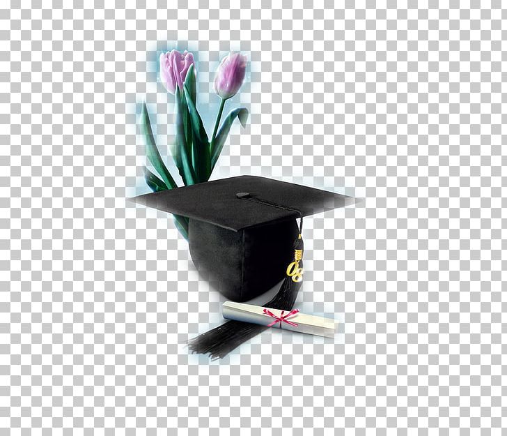 Graduation Ceremony Bachelor's Degree Hat Academic Degree Academic Certificate PNG, Clipart, Academic Certificate, Academic Degree, Bachelors Degree, Bonnet, Cap Free PNG Download