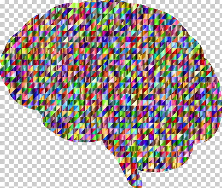 Human Brain PNG, Clipart, Brain, Cerebral Cortex, Computer Icons, Human Brain, Human Head Free PNG Download