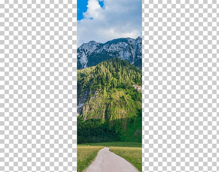 Mount Scenery Mountain Trail Walkway Wood PNG, Clipart, Austrian Passport, Biome, Door, Ecosystem, Grass Free PNG Download