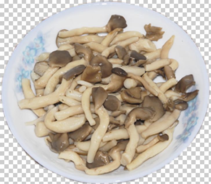 Oyster Mushroom Pleurotus Eryngii Vegetarian Cuisine Shimeji PNG, Clipart, Boil, Boiling, Boiling Water, Boil Water, Cuisine Free PNG Download