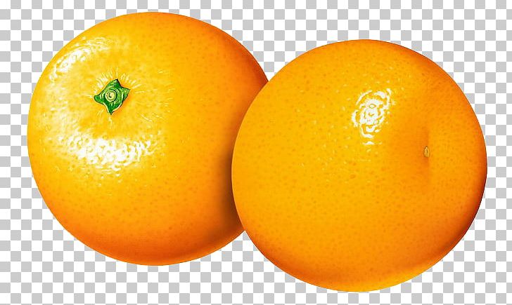 Malta Fruit Mandarin Orange Kinnow PNG, Clipart, Business, Citrus, Company, Food, Fruit Free PNG Download