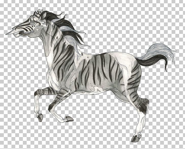 Mane Mustang Stallion Quagga Drawing PNG, Clipart, African Queen, Animal Figure, Black And White, Character, Drawing Free PNG Download