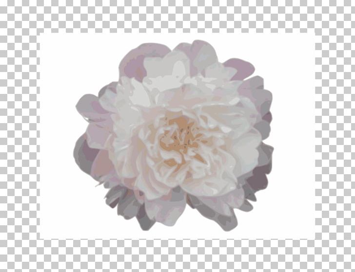 Moutan Peony PNG, Clipart, Adobe Illustrator, Borg Cliparts, Cut Flowers, Encapsulated Postscript, Flower Free PNG Download