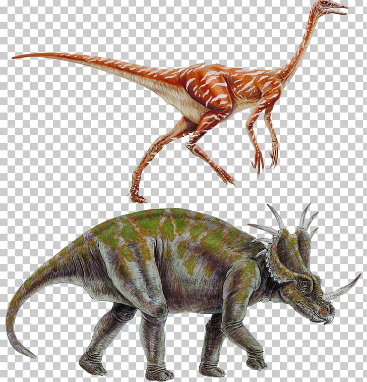 Styracosaurus Tyrannosaurus Ornithomimus Dinosaur Ceratopsia PNG, Clipart, Cartoon Dinosaur, Ceratopsidae, Cute Dinosaur, Dinosaur Cartoon, Dinosaur Egg Free PNG Download