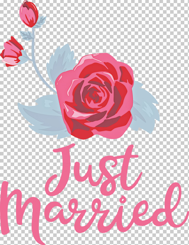 Just Married Wedding PNG, Clipart, Cut Flowers, Floral Design, Flower, Garden, Garden Roses Free PNG Download