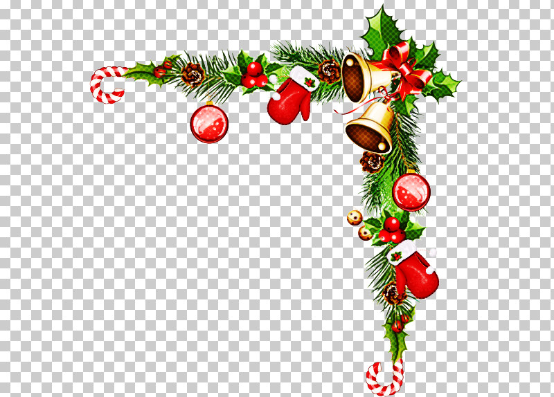 Christmas Decoration PNG, Clipart, Branch, Christmas Decoration, Conifer, Fir, Holly Free PNG Download