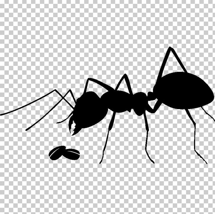 Ant Insect Stock Photography PNG, Clipart, Animals, Ant, Arthropod, Black And White, Black Garden Ant Free PNG Download