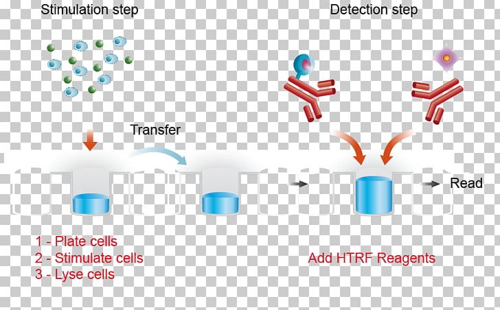 Assay ELISA Microtiter Plate Cell Stimulation PNG, Clipart, Area, Assay, Brand, Cell, Cell Culture Free PNG Download