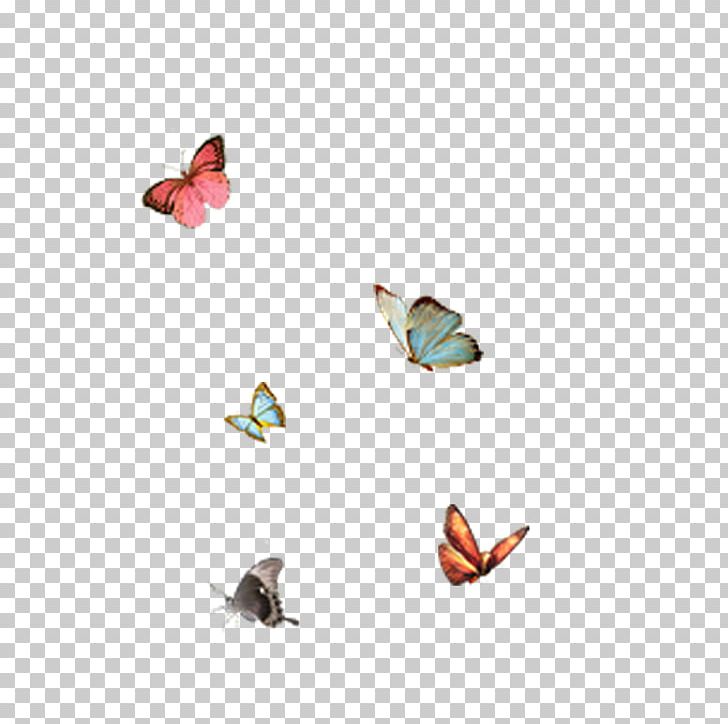 Butterfly Bird Icon PNG, Clipart, Bird, Blue Butterfly, Butterflies, Butterflies And Moths, Butterfly Free PNG Download