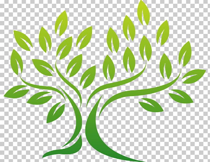 Barnstaple Crown Line Tree Leaf PNG, Clipart, Artwork, Barnstaple, Bearing, Branch, Budine Tree Service Free PNG Download