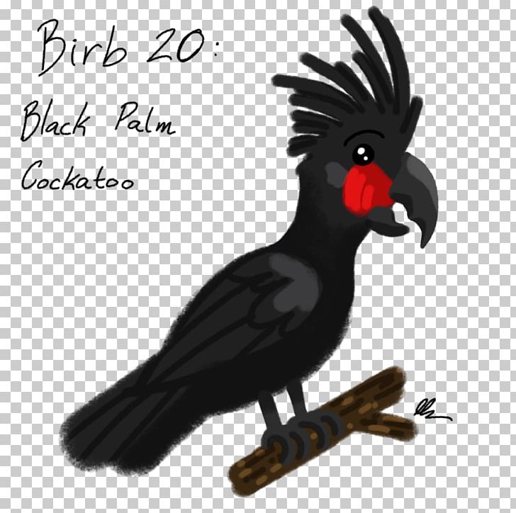 Cockatiel Palm Cockatoo Art Beak PNG, Clipart, Animal, Art, Artist, Art Museum, Beak Free PNG Download