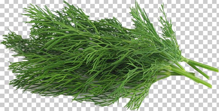Dill Organic Food Nlaws Produce Inc Vegetable Herb PNG, Clipart, Aonori, Carrot, Dere, Dill, Dipping Sauce Free PNG Download