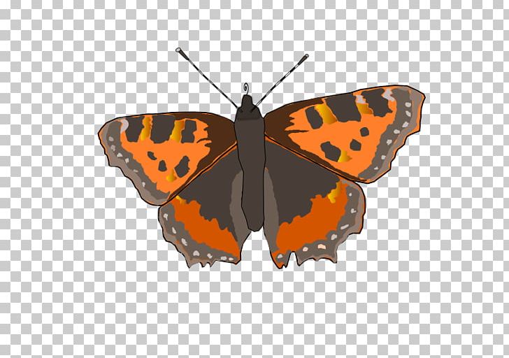Monarch Butterfly Pieridae Gossamer-winged Butterflies Small Tortoiseshell PNG, Clipart, Arthropod, Brush Footed Butterfly, Butterflies And Moths, Butterfly, Fuch Free PNG Download