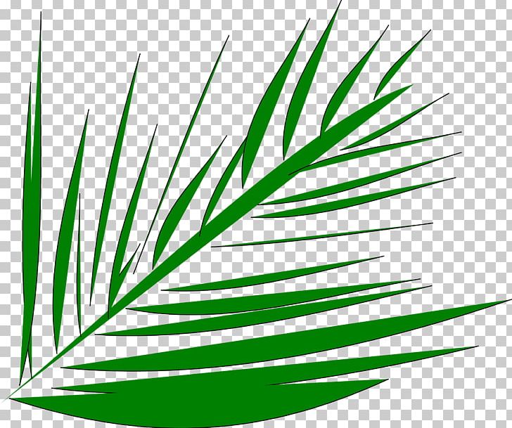 Palm-leaf Manuscript Arecaceae Palm Branch PNG, Clipart, Arecaceae, Commodity, Computer Icons, Flora, Grass Free PNG Download