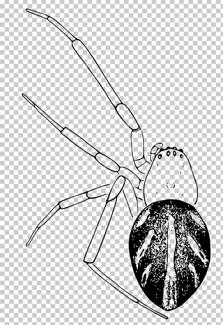 Spider Southern Black Widow Latrodectus Curacaviensis Brown Widow Latrodectus Bishopi PNG, Clipart, Angle, Arthropod, Black And White, Brown Widow, Hourglass Free PNG Download