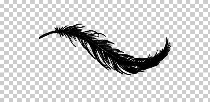 Bird White Feather Irresistible PNG, Clipart, Animals, Bird, Black, Black And White, Demi Lovato Free PNG Download