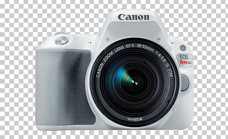 Canon EOS 750D Canon EOS 800D Canon EF-S 18–55mm Lens Digital SLR PNG, Clipart, Camera, Camera Lens, Cameras Optics, Canon, Canon Efs 1855mm Lens Free PNG Download