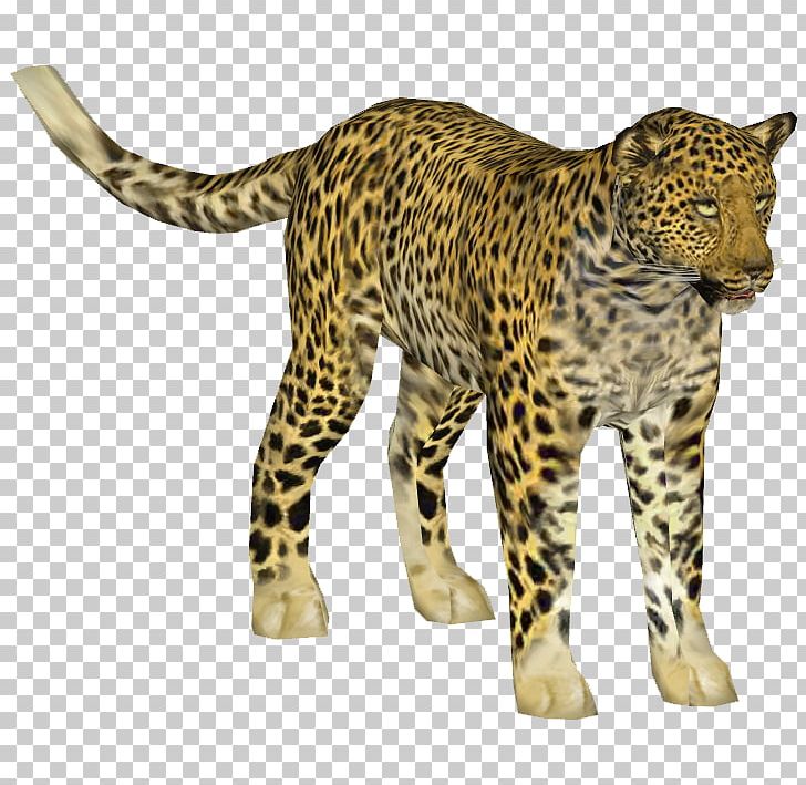 Indian Leopard Cheetah African Leopard Jaguar Ocelot PNG, Clipart, Afr, Animal Figure, Animals, Big Cat, Big Cats Free PNG Download
