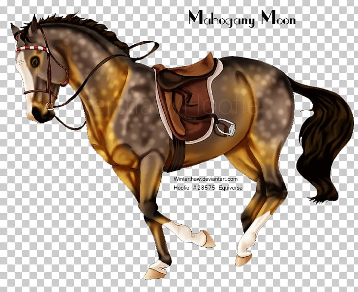 Mane Mustang Rein Stallion Western Riding PNG, Clipart, Bit, Bridle, English Riding, Equestrian, Equestrian Sport Free PNG Download