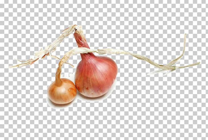 Shallot Taco Vegetable Red Onion Food PNG, Clipart, Bing, Com, Food, Fruit, Garlic Free PNG Download