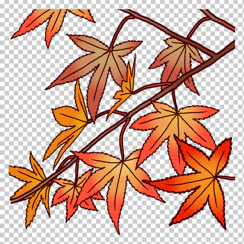 Maple Leaf PNG, Clipart, Branch, Flower, Leaf, Liana, Maple Free PNG Download