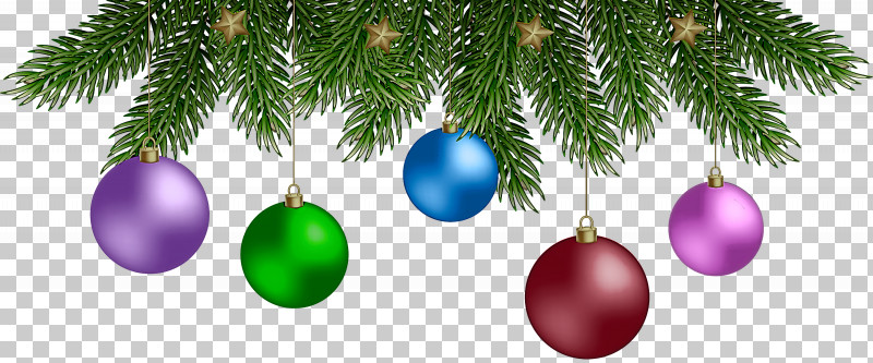 Christmas Ornament PNG, Clipart, Branching, Christmas Day, Christmas Ornament, Christmas Ornament M, Christmas Tree Free PNG Download