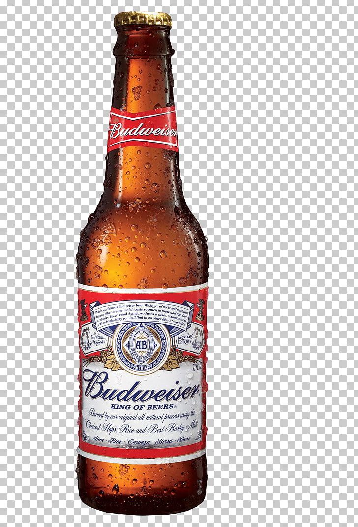 Budweiser Beer Anheuser-Busch Lager United States PNG, Clipart, Alcoholic Beverage, Alcoholic Drink, Ale, American Lager, Anheuser Busch Free PNG Download