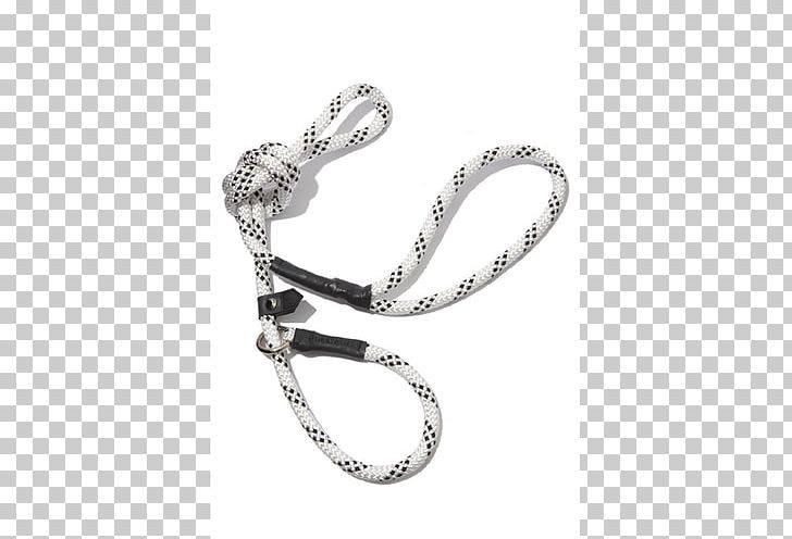 Dog Collar Leash Webbing PNG, Clipart, Belt, Body Jewelry, Bracelet, Chain, Collar Free PNG Download