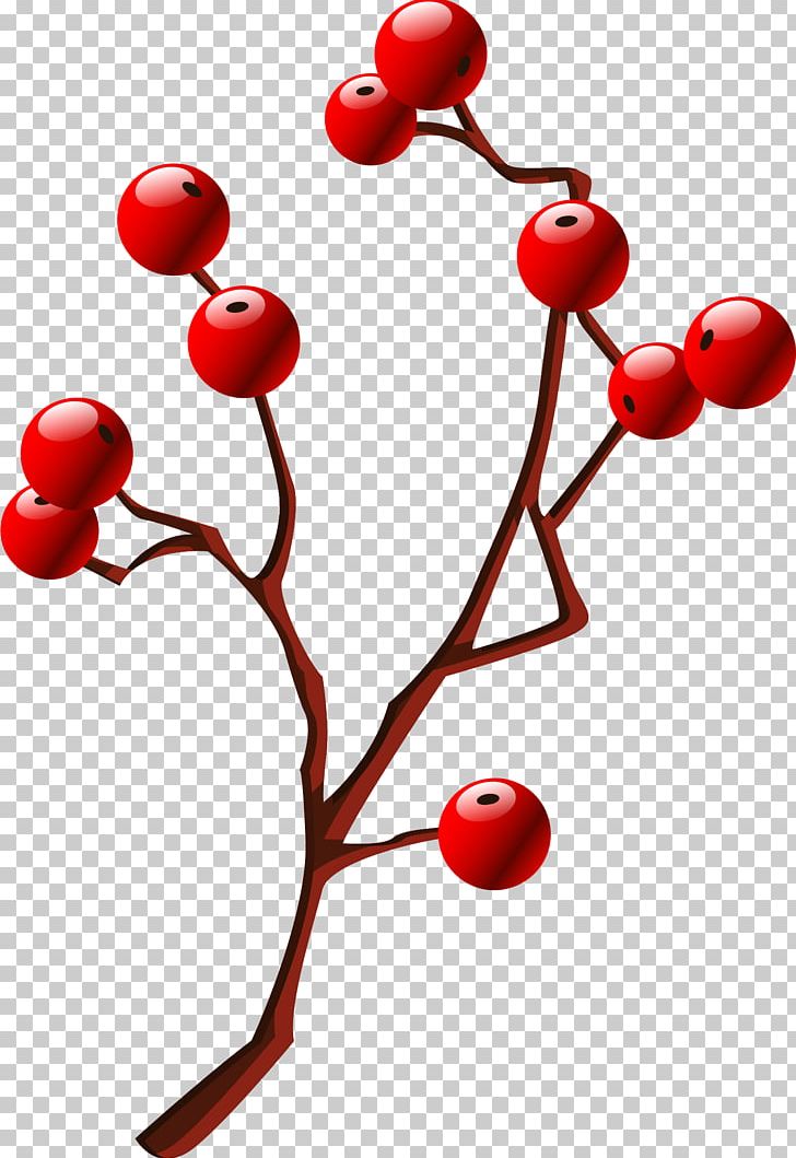 Hawthorn PNG, Clipart, Beautiful, Berry, Branch, Breath, Cartoon Free PNG Download