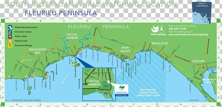 South Australian Whale Centre Aldinga Map Goolwa Profile Diagram PNG, Clipart, Cetacea, Diagram, Didcot Railway Centre, Ecosystem, Electronic Mailing List Free PNG Download