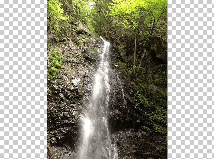 Waterfall Water Resources Nature Reserve Stream Watercourse PNG, Clipart, Body Of Water, Chute, Creek, Forest, Nature Reserve Free PNG Download