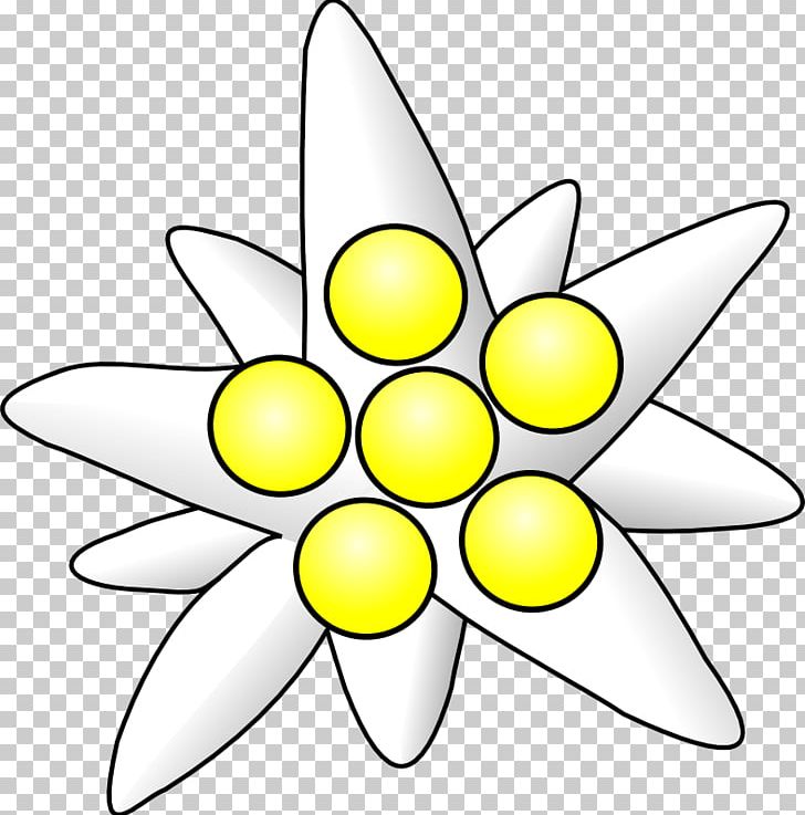 Flower PNG, Clipart, Art, Artwork, Black And White, Circle, Computer Icons Free PNG Download