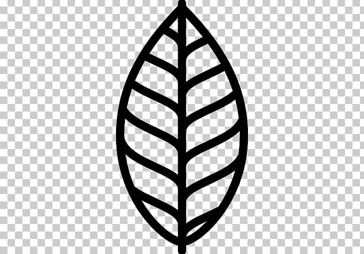 Leaf PNG, Clipart, Black And White, Computer Icons, Drawing, Encapsulated Postscript, Icon Download Free PNG Download