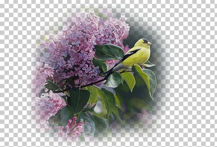 Penticton Oil Painting Artist PNG, Clipart, Art, Artist, Art Museum, Canvas, Floral Design Free PNG Download