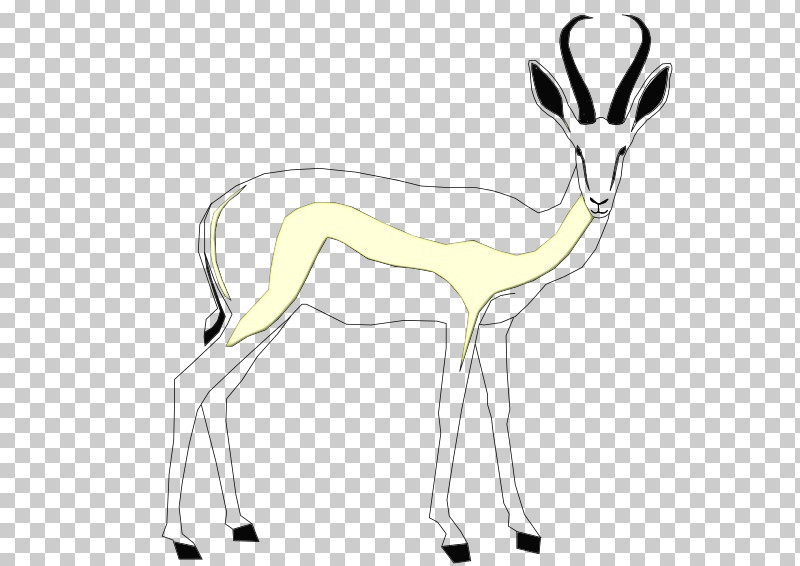 Springbok Deer Gazelles Line Art PNG, Clipart, Animal Figurine, Deer, Horse, Line Art, Paint Free PNG Download