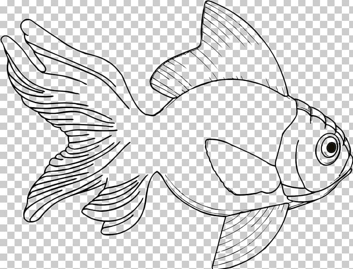 Drawing Fish Coloring Book PNG, Clipart, Animals, Art, Artwork, Black And White, Cartoon Free PNG Download