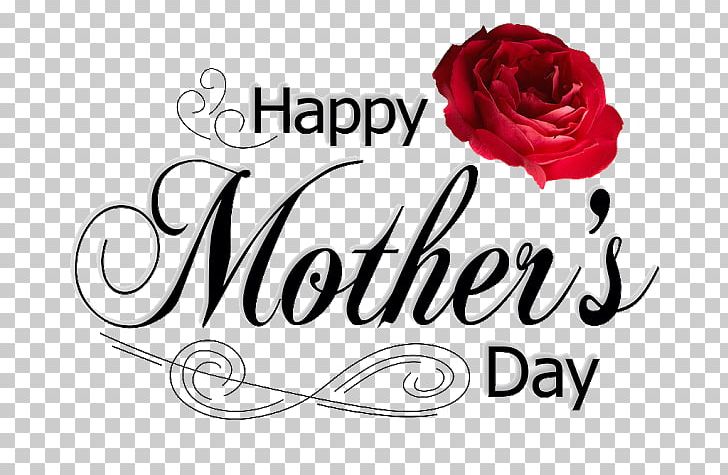 Mother's Day Gift Child International Women's Day PNG, Clipart,  Free PNG Download