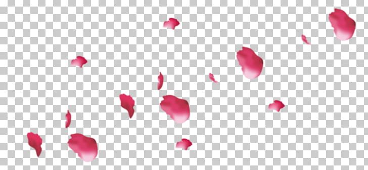 Petal Flower Pink Rose PNG, Clipart, Beauty, Blossom, Closeup, Computer Wallpaper, Desktop Wallpaper Free PNG Download